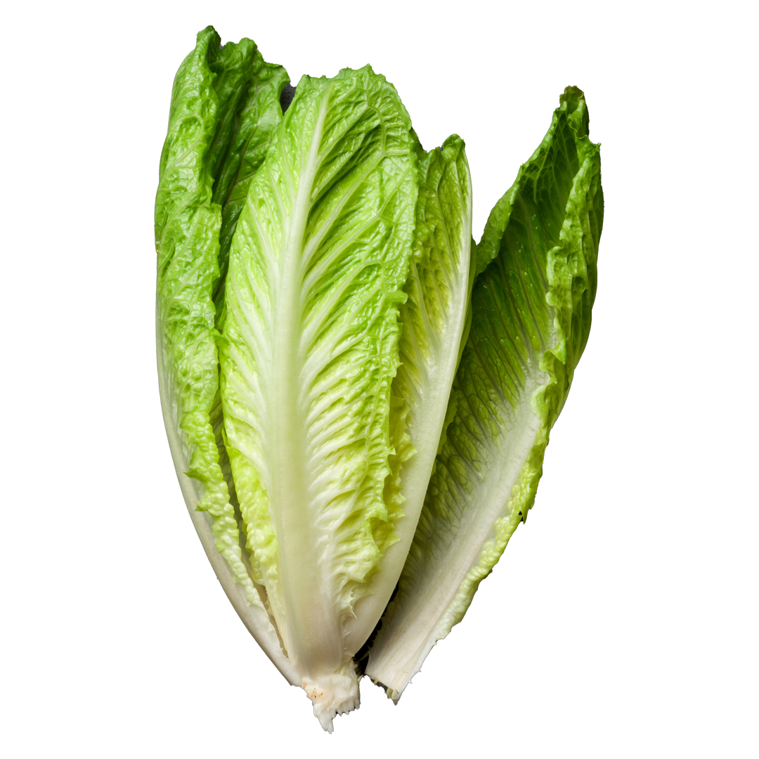 livfarms_romaine_lettuce_salad_slider